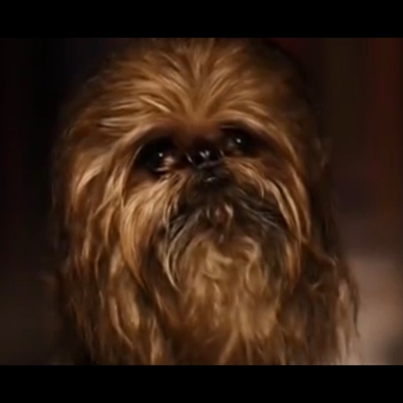 Meet your Posher, Gavin - Picture 1 of 1